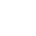 digital twin