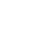 voice assistant